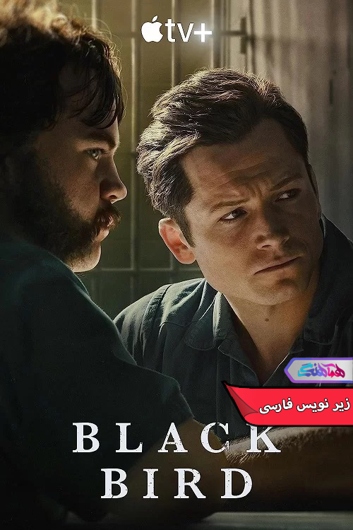 سریال پرنده سیاه Black Bird 2022-دنیای فیلم و سریال همآهنگ