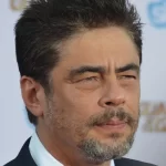 بنیسیو دل تورو