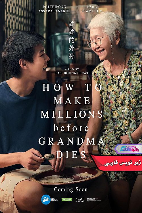 فیلم چگونه با مرگ مادر بزرگ میلیونر شوم How to Make Millions Before Grandma Dies 2024- دنیای فیلم وسریال همآهنگ