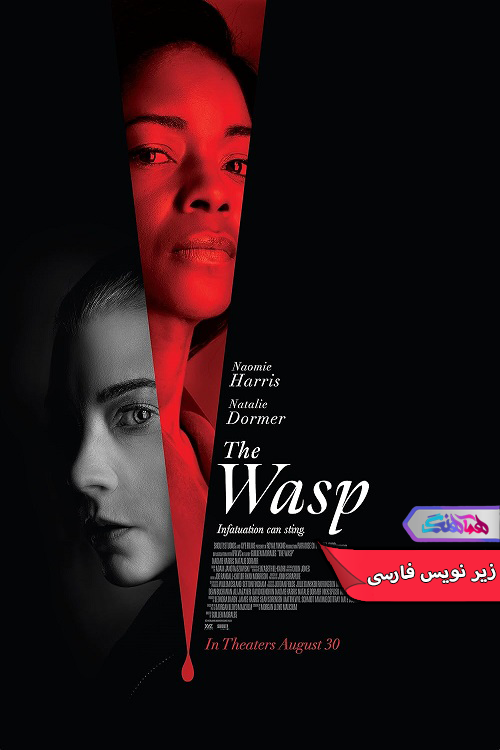 فیلم زنبور The Wasp 2024- دنیای فیلم وسریال همآهنگ