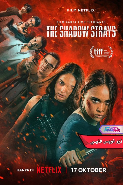 فیلم ولگردهای سایه The Shadow Strays 2024- دنیای فیلم و فیلم وسریال همآهنگ