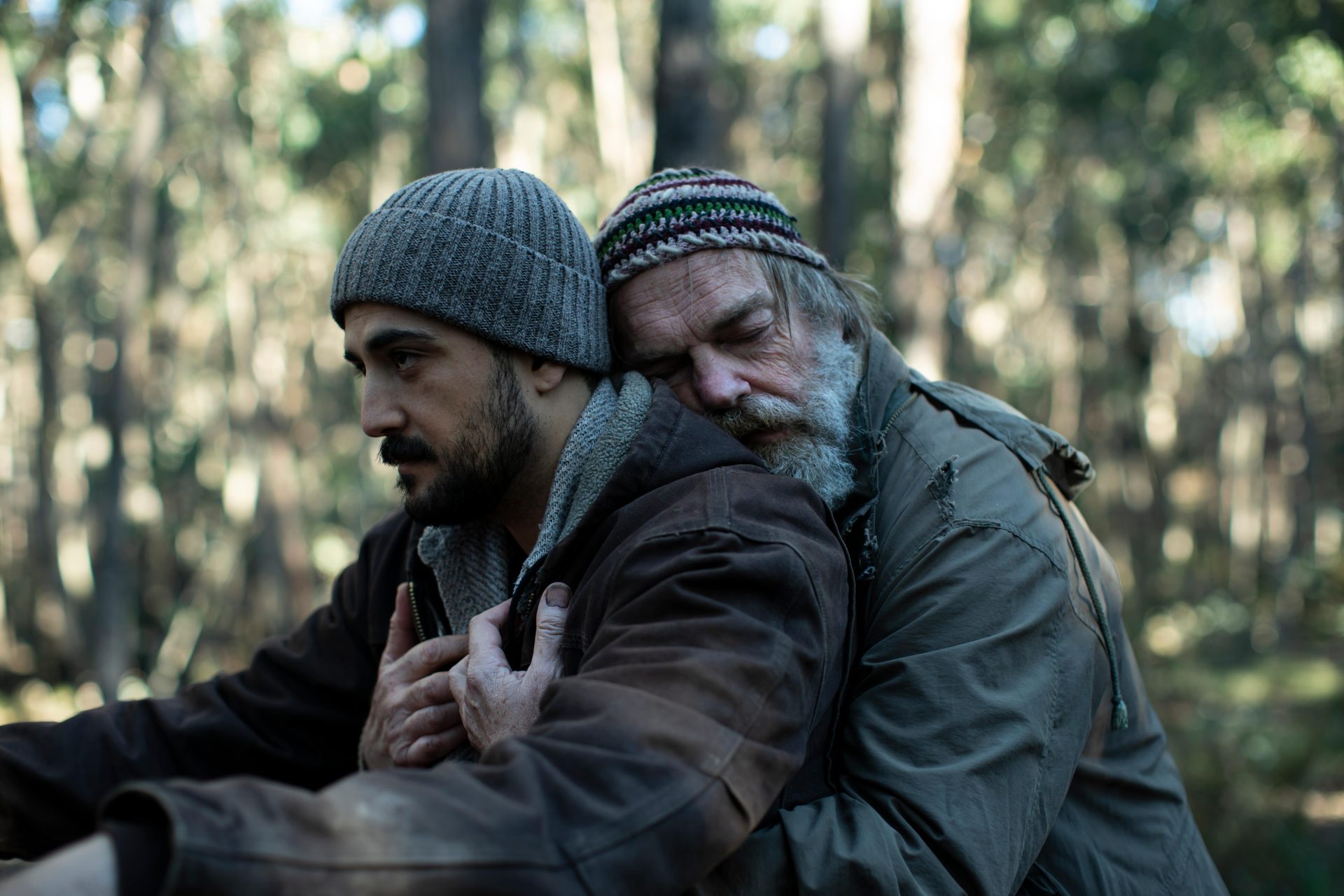 The Rooster | دنیای فیلم و سریال همآهنگ