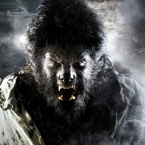 3 فیلم الهامبخش تحول در مرد گرگنما