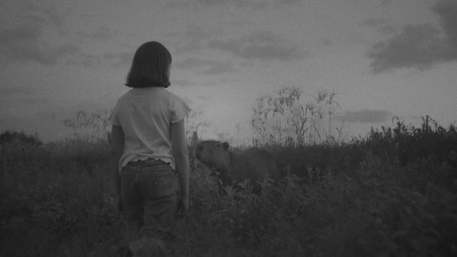 The Message | دنیای فیلم و سریال همآهنگ