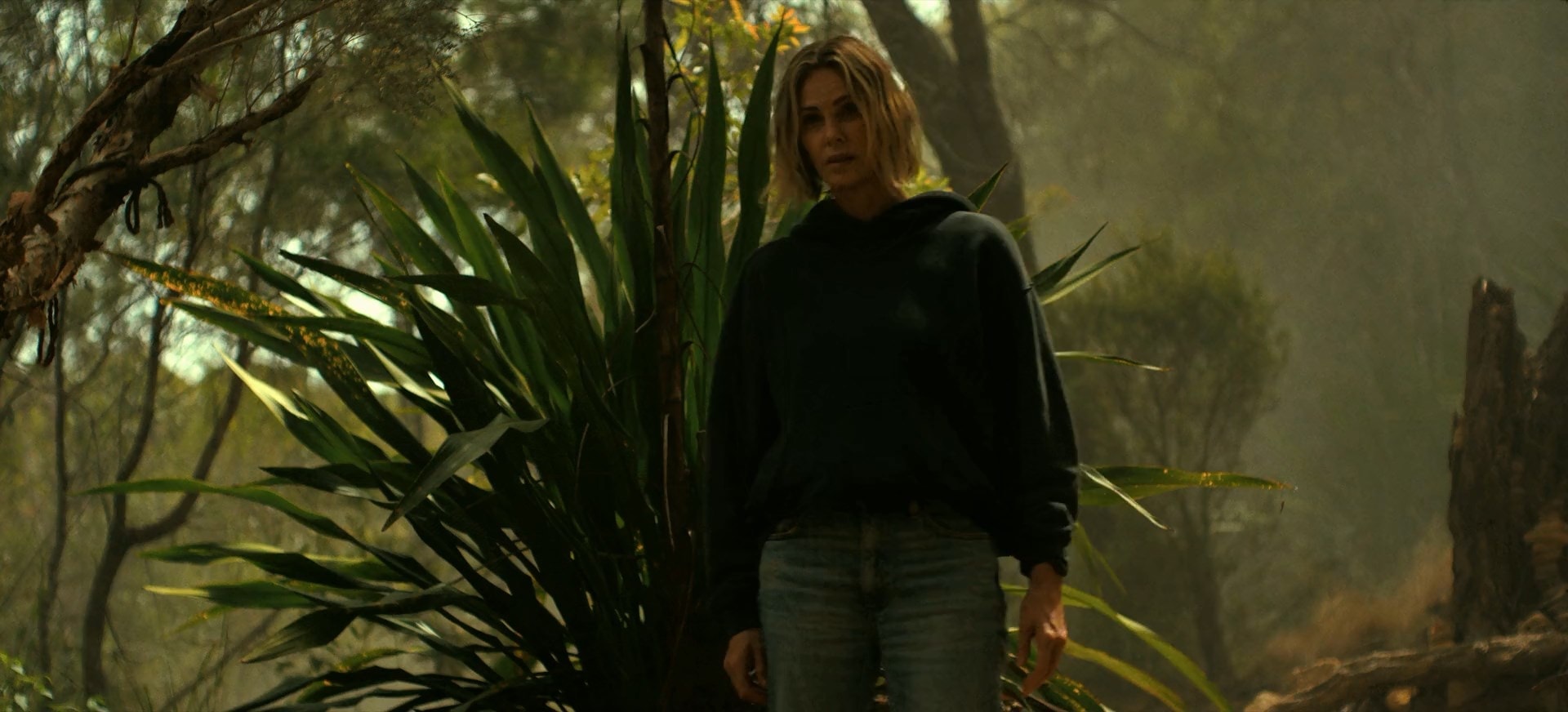 تصویر فیلم
