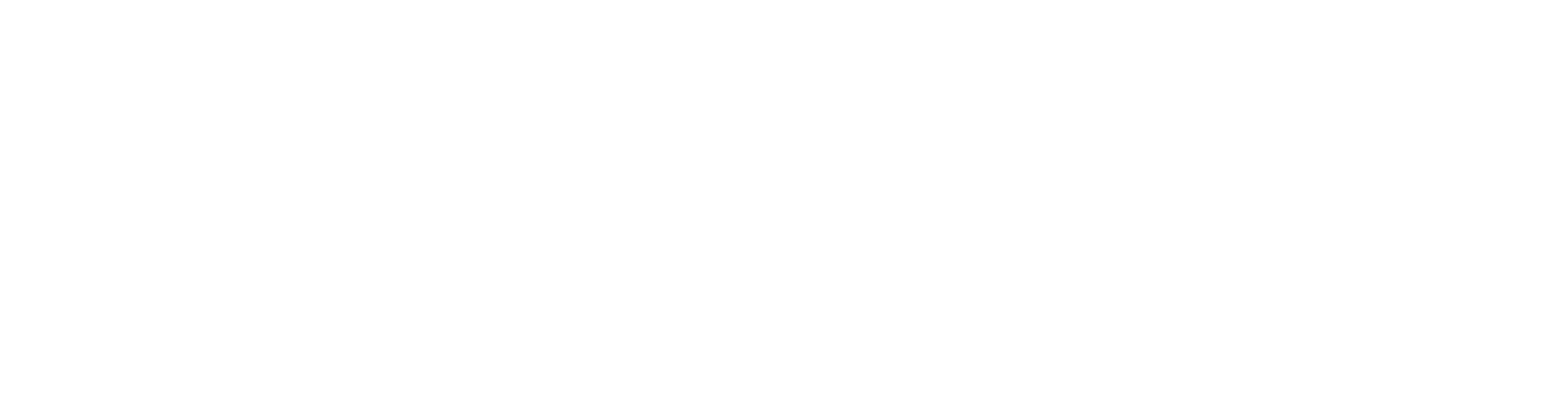 Bullet Train