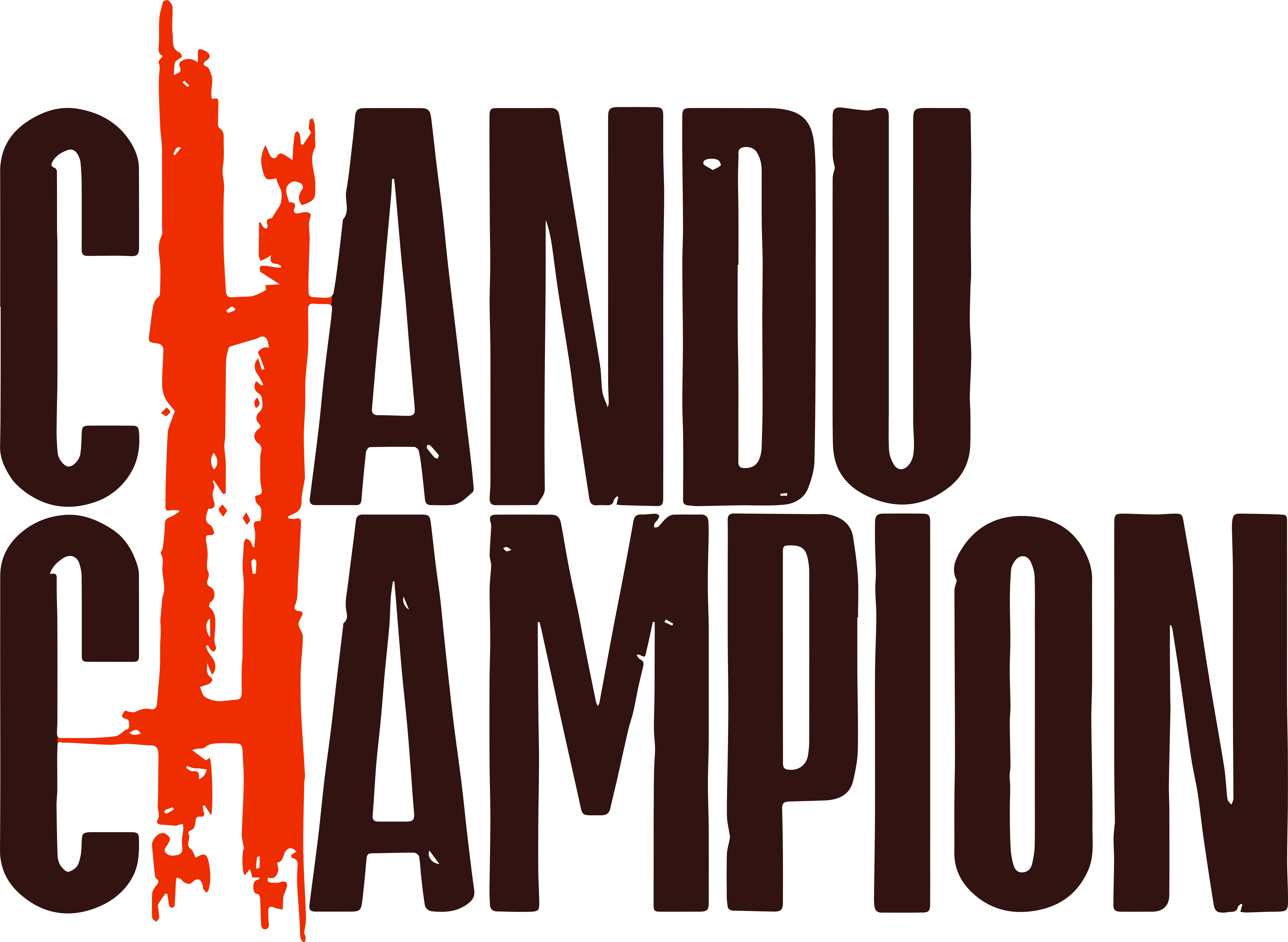 Chandu Champion