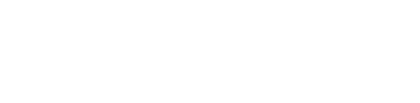 Ludo