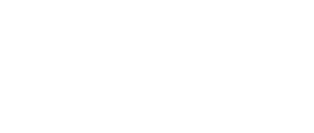 The Good Detective