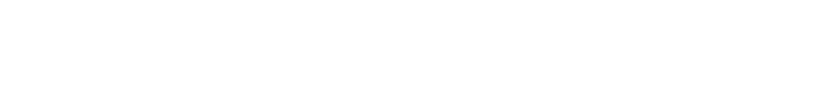 The Whale