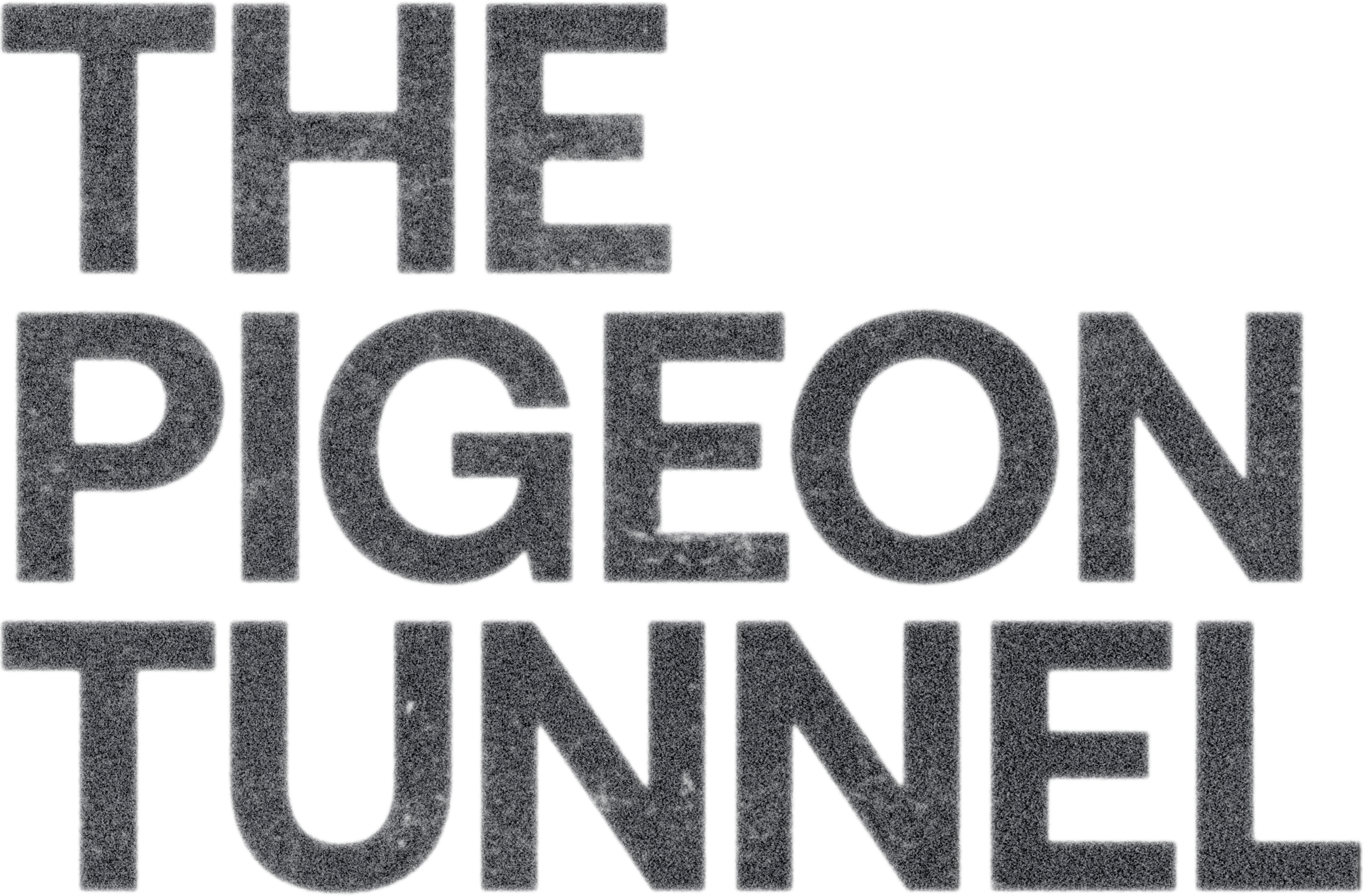The Pigeon Tunnel