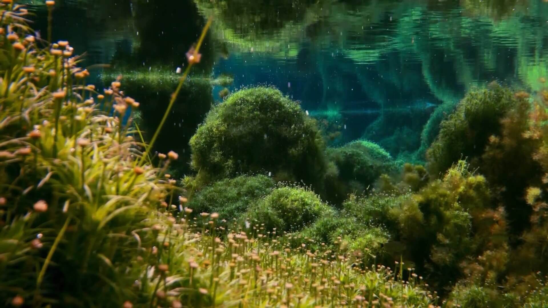 تصویر فیلم