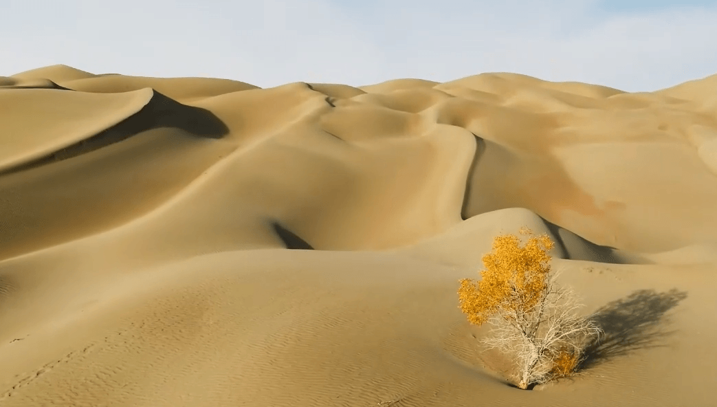 قسمت 4