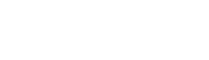 The Chef Show