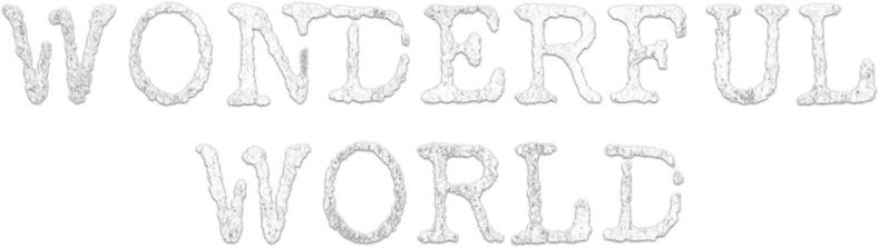 Wonderful World